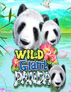 ว ธ เล นคาส โน sbobet สำหรับมือใหม่ที่ต้องการลองเสี่ยงโชค